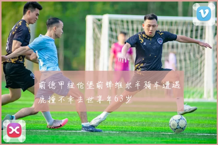 前德甲纽伦堡前锋维尔辛骑车遭遇鹿撞不幸去世享年63岁